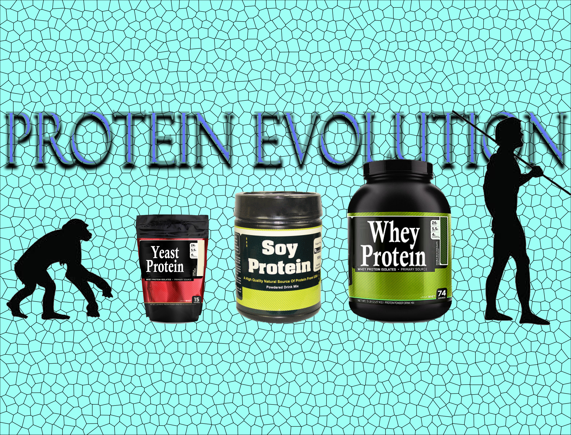 Proteins- not just a food group